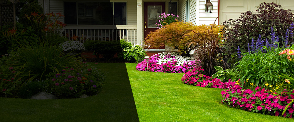 Clarissa Landscapers