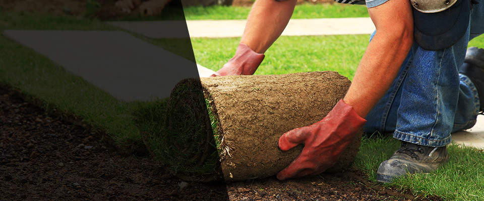 Clarissa Landscapers